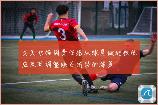 戈贝尔强调责任感从球员做起教练应及时调整缺乏拼劲的球员